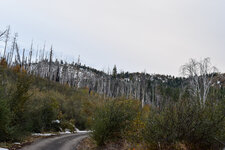 2-DSC_0093 - Copy.jpg