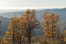 6-DSC_0105 - Copy.jpg