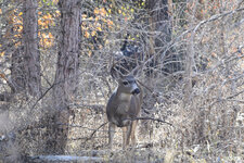 6-DSC_0214 - Copy.jpg