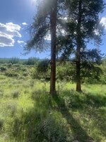 IMG_3683.jpg