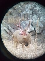 20171124_162318.jpg