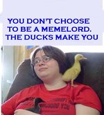 thumbnailCATZ28DBAA.jpg