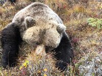 IMG_1092.jpg IMG_1092.jpg