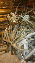 20160202_214359.jpg