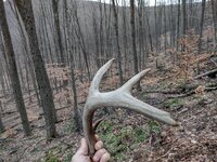 First Shed 23'.jpg
