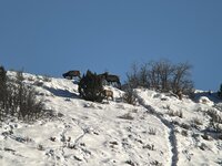 4788549C-8EE3-42C9-8D90-CE81E083154B.jpeg
