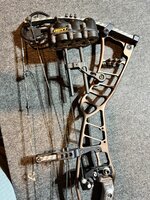 IMG_5930 Large.jpeg