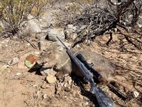 50D8941C-C2A5-4F6C-B138-95294FB90F8B.jpeg 50D8941C-C2A5-4F6C-B138-95294FB90F8B.jpeg