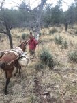 2017 hunts 032.jpg