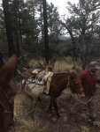 2017 hunts 033.jpg