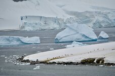 DSC_1030.JPG