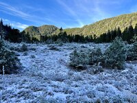 IMG_6850.jpeg