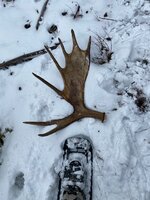 9CAB476B-FE74-4DFD-ACC6-C8942CCCB4B5.jpeg 9CAB476B-FE74-4DFD-ACC6-C8942CCCB4B5.jpeg