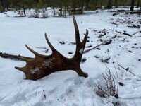 90D874C5-A796-4ED3-8F4D-F8A461570E88.jpeg 90D874C5-A796-4ED3-8F4D-F8A461570E88.jpeg