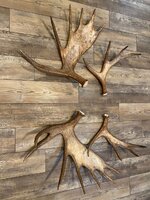 57ADB48D-EB38-4E2F-AFC3-A87973A44BFB.jpeg 57ADB48D-EB38-4E2F-AFC3-A87973A44BFB.jpeg