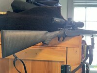 AEB413F1-DA0E-4226-A929-A3718EDC94D4.jpeg