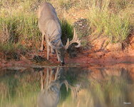 03-IMG_5824.JPG
