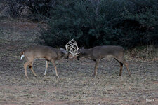 07-IMG_658623.JPG