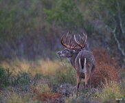 03-IMG_36152.jpg