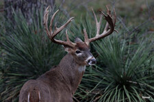 17-IMG_445022.JPG