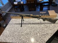 IMG_1536.JPEG