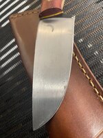 IMG_2727.jpeg