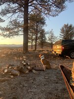 85B01057-05D6-4CF9-9692-F8F47F39EF18.jpeg