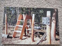 IMG_20230124_090450.jpg