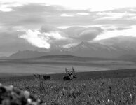 F62635D4-D1A0-4E71-B2EF-FD358BDDA2F3.jpeg
