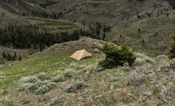 PXL_20220522_195542367.jpg