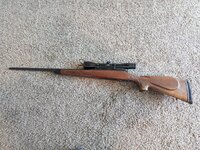 rifle 2.jpeg