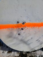20230226_131010.jpg