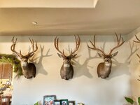 E083FAD4-A811-4558-BFDB-8263C769C56B.jpeg E083FAD4-A811-4558-BFDB-8263C769C56B.jpeg