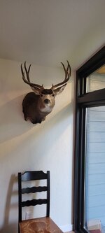 20220811_191920.jpg 20220811_191920.jpg