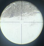 C7FCFE32-5D4A-4B83-BF93-D9B11E8F6725.jpeg