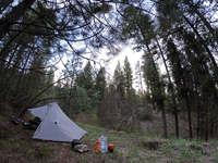 GPTempDownload 3.png