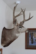 IMG_2007.jpg IMG_2007.jpg