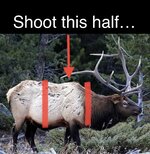 21C0AF91-F01A-41D6-A816-01DD5F2F8FC7.jpeg 21C0AF91-F01A-41D6-A816-01DD5F2F8FC7.jpeg