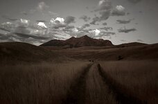 F58830C9-DDE8-4924-866B-0E13A1C899A0.jpeg