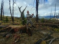 Wyoming Elk-1.jpg