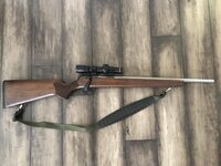 4C9FD688-7935-4667-8B99-BF3E3F00FA65.jpeg 4C9FD688-7935-4667-8B99-BF3E3F00FA65.jpeg