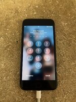 D395C5BD-BE55-4EDC-A4E0-F04B88EBC75E.jpeg
