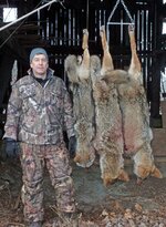 P1030270 - 134 pounds of yote.jpg P1030270 - 134 pounds of yote.jpg