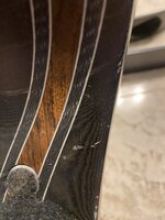 IMG_2591.JPEG