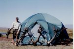 2006 caribou hunt-0031.jpg