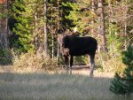 Wyoming Hunt 2013 008.jpg