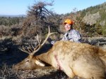WY Elk 4.jpg