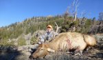 WY Elk 2.jpg