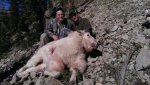 mini-2013 Mountain Goat - Dad and I.jpg