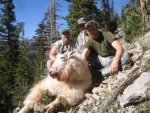 mini-2013 Mountain Goat - Ellis Group.jpg